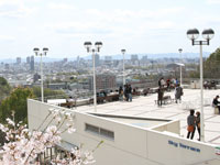 photo1