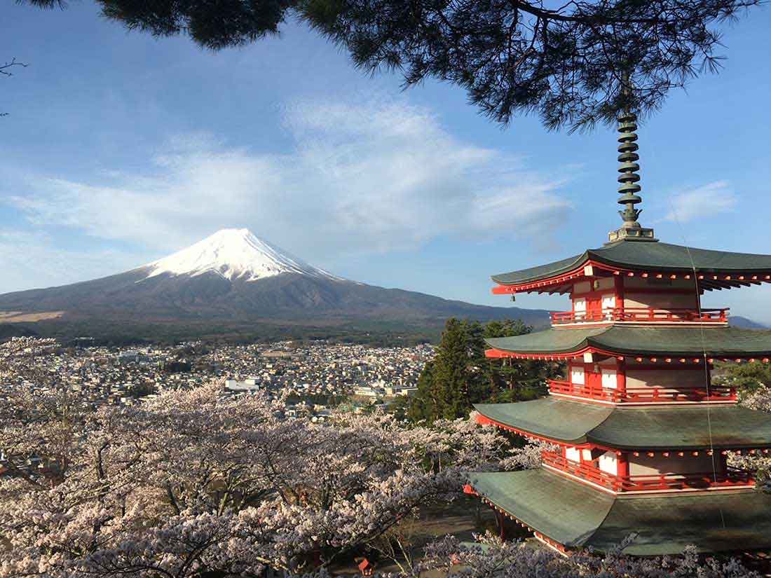 海外からの観光客の撮影スポットとして有名な新倉山浅間公園＝宮下さん撮影