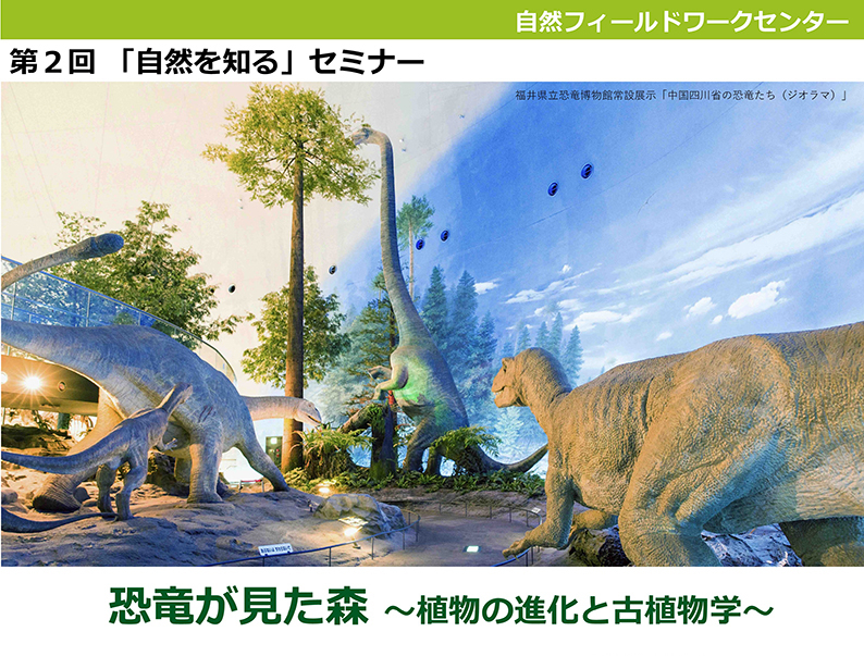 <自然フィールドワークセンター> 第2回「自然を知る」セミナー 恐竜が見た森~植物の進化と古植物学~