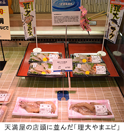 ニュース&トピックス　「理大やま海老」天満屋岡山店で販売―安心・安全な食材として好評―