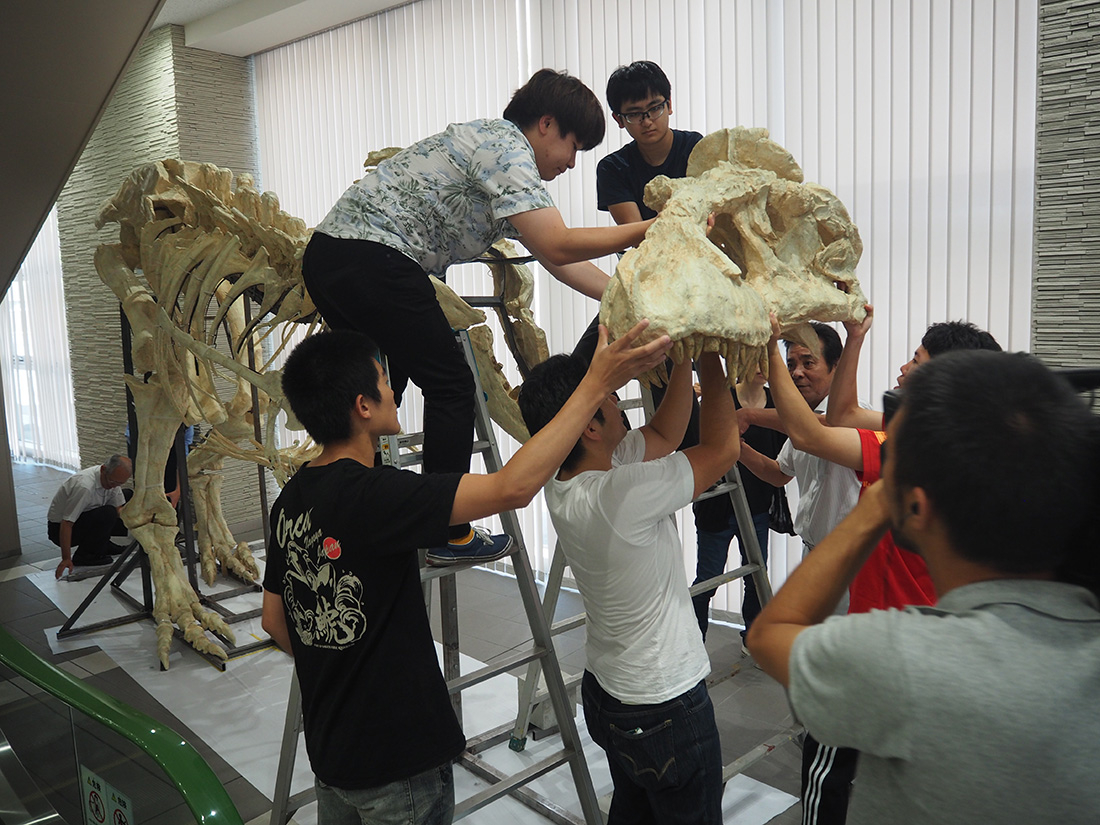 タルボサウルス引っ越し　7月13日から「世界大恐竜展」で展示