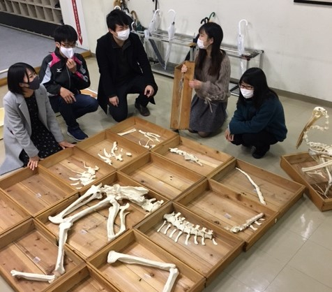 生物地球学部の学生たちの企画展を山陽新聞が紹介　12月23日から展示スタート