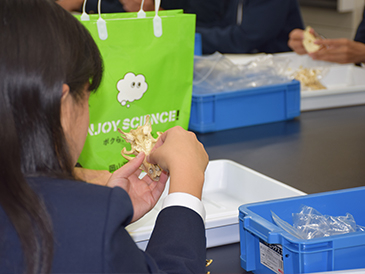 ニュース&トピックス　島根の高校生39名が学内見学