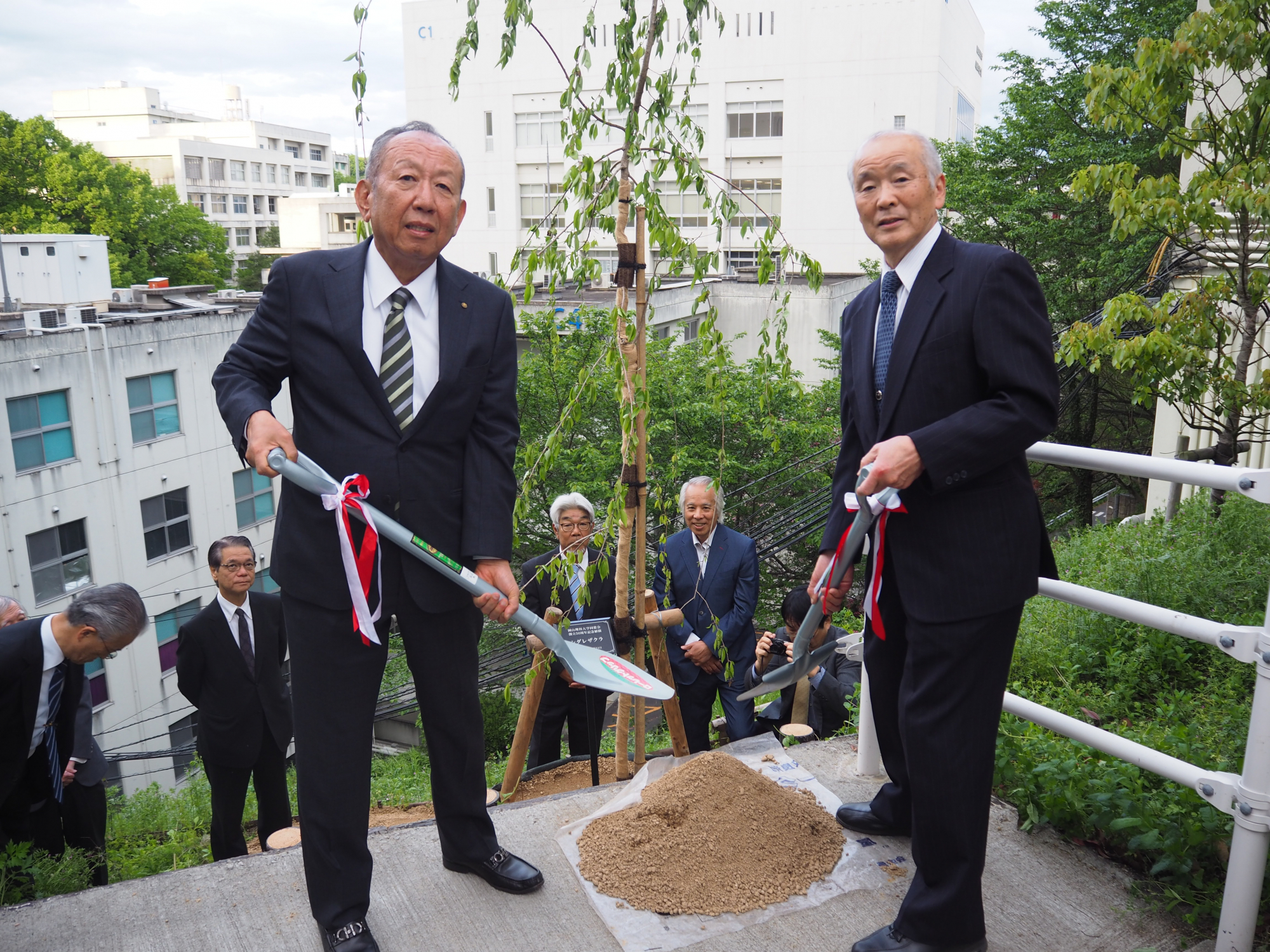 理大同窓会50周年記念でシダレザクラ(枝垂桜)を植樹