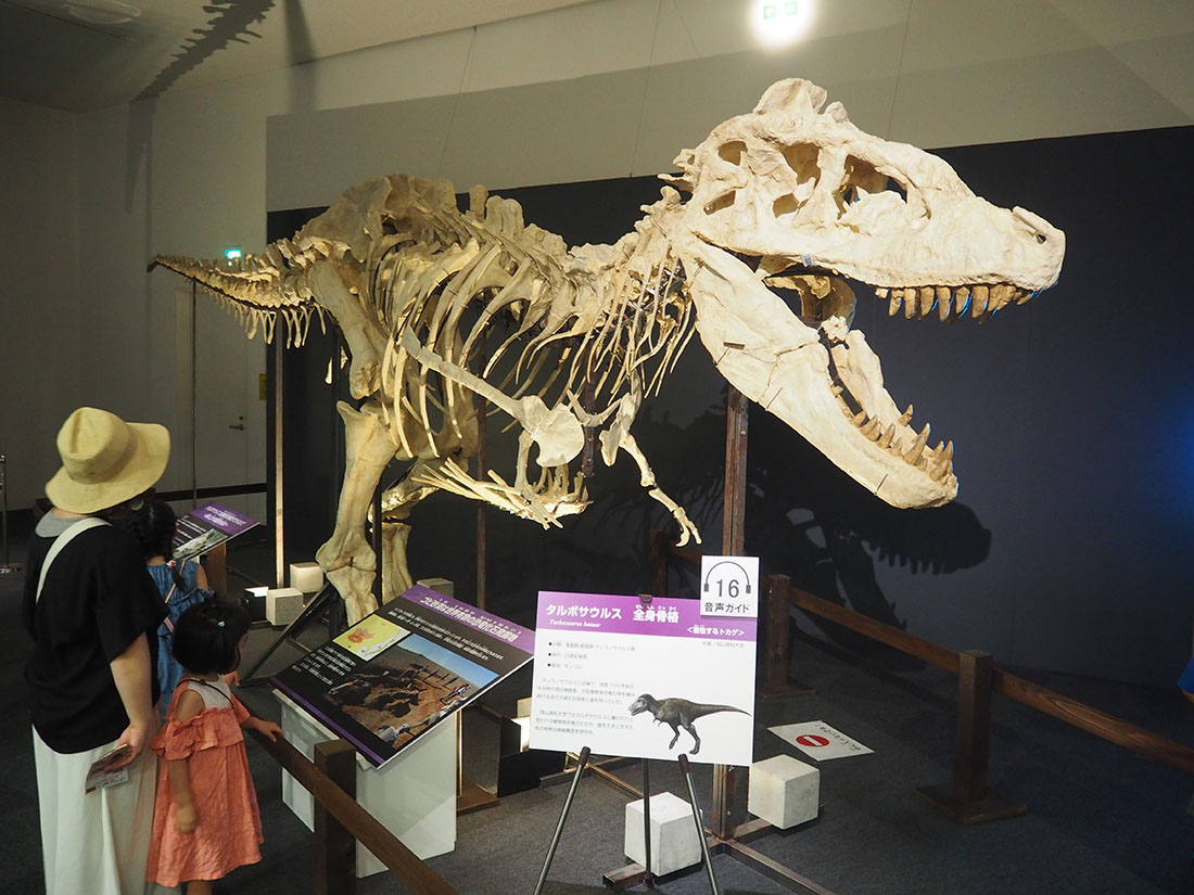 「世界大恐竜展」閉幕 7万人超の入場者でにぎわう
