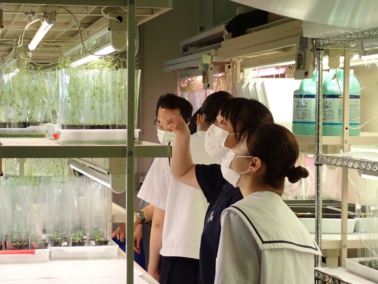 岡山県立岡山一宮高等学校の普通科・理数科2年生30名が、サイエンスプロジェクト『先端研究所研修』を、理学部と恐竜学博物館で体験