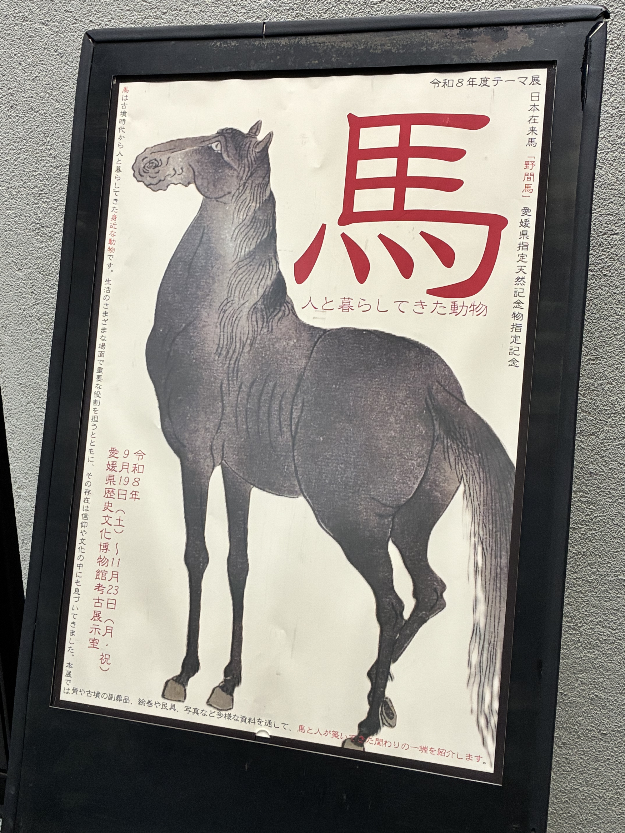 【獣医学部】愛媛県歴史文化博物館にて展示協力中！