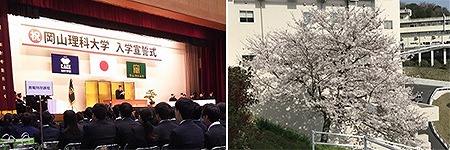入学宣誓式（平成30年4月3日）