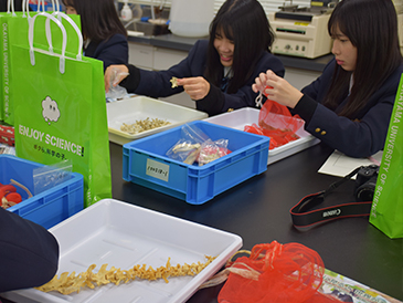 ニュース&トピックス　島根の高校生39名が学内見学