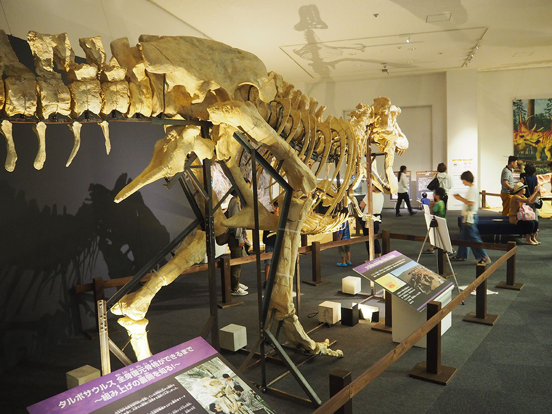 「世界大恐竜展」閉幕 7万人超の入場者でにぎわう