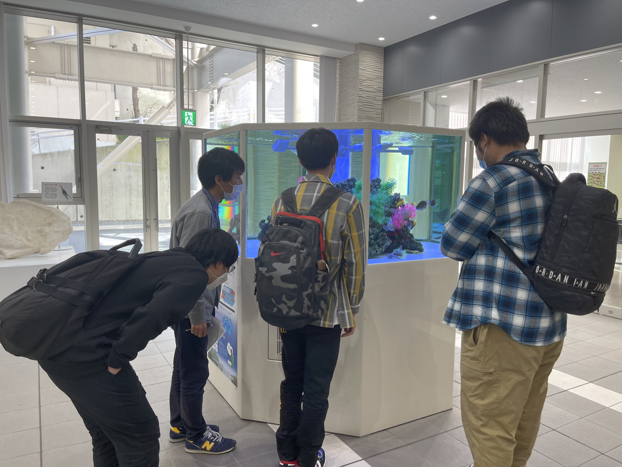 留学生オリエンテーション実施の紹介