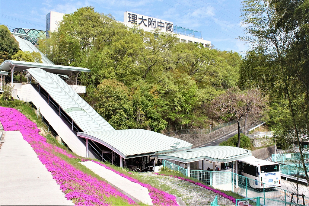 シバザクラの“じゅうたん”が出迎え/岡山キャンパス
