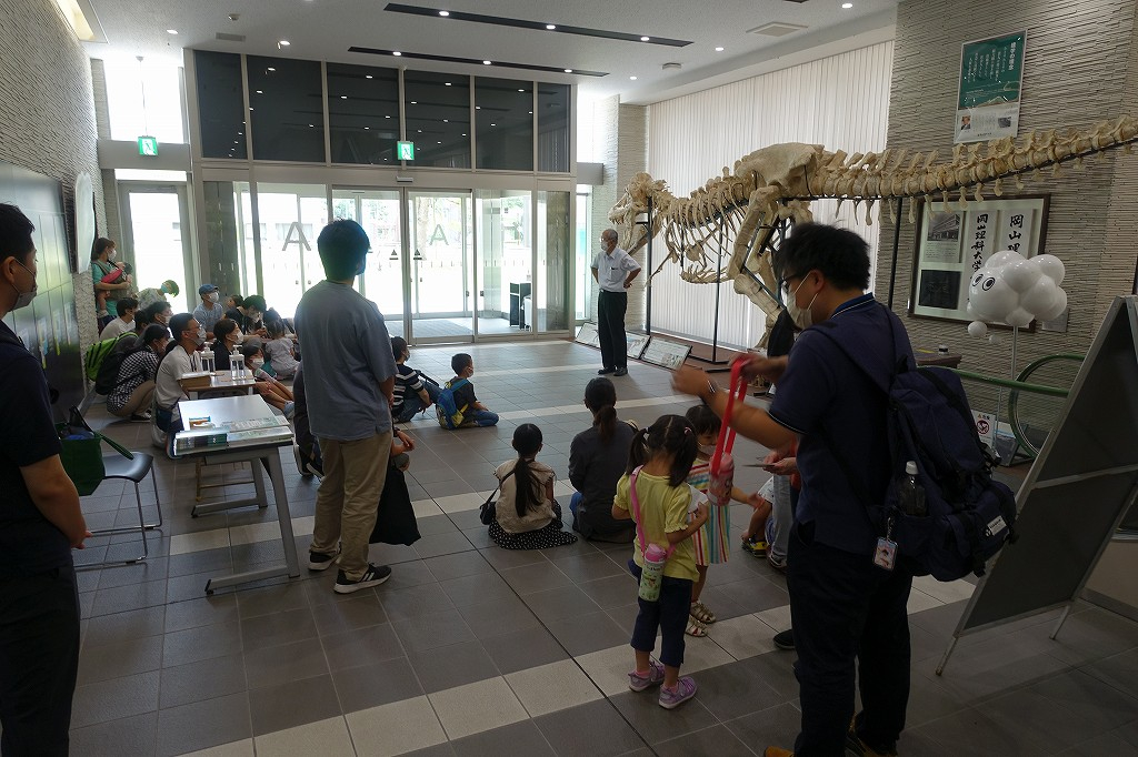 恐竜学博物館ツアーとレプリカ制作体験が人気