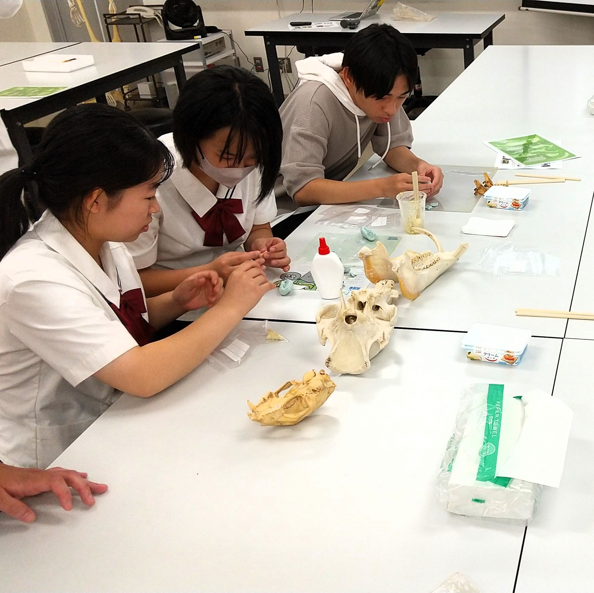 科学のおもしろさ学ぶ/理学部主催実験＆体験教室