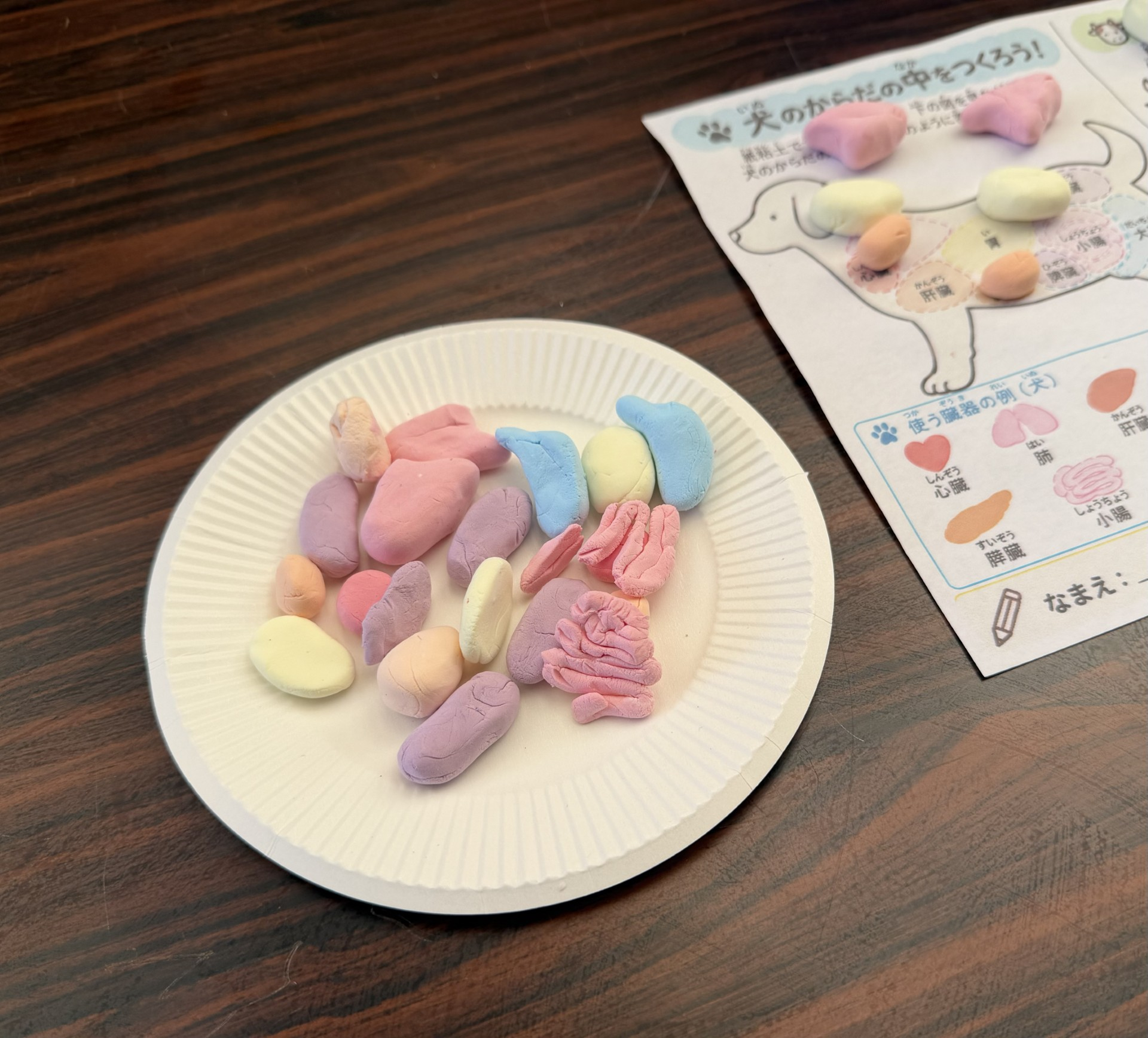 今治商店街「こどもが真ん中フェスタ」に出展しました！