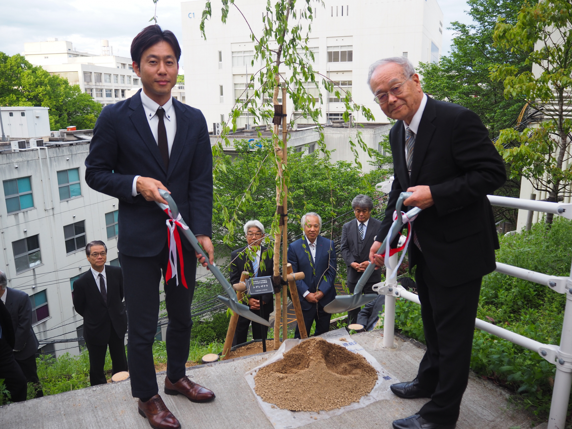 理大同窓会50周年記念でシダレザクラ(枝垂桜)を植樹