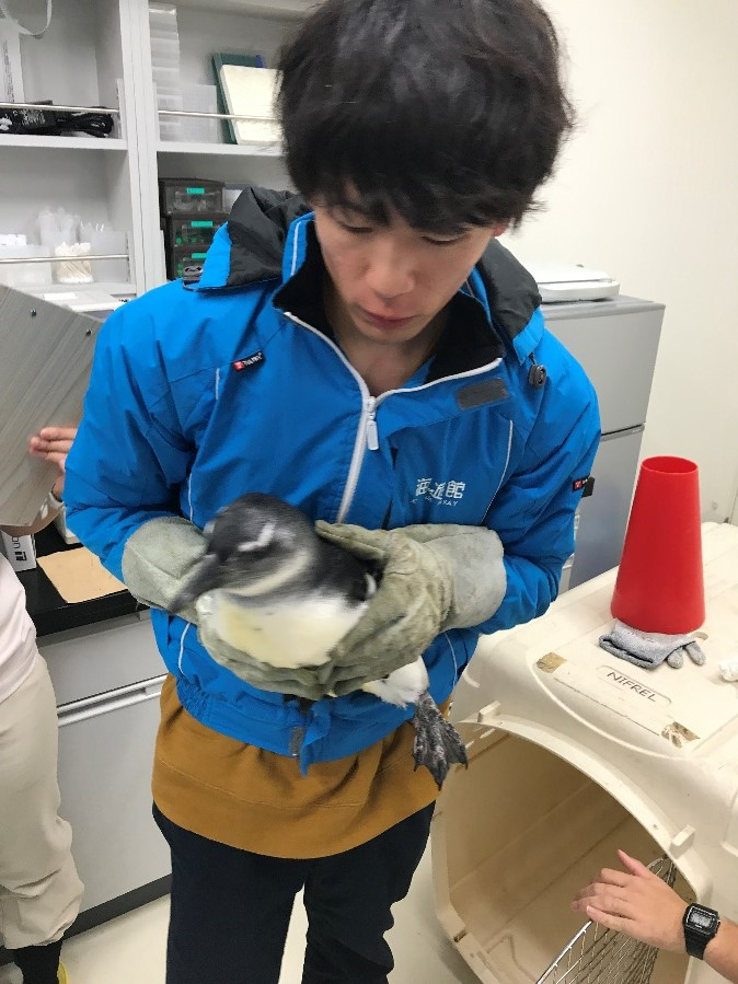 中原さんが日本鳥学会で最優秀ポスター賞受賞