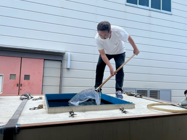 近大さん、ありがとう! 大切に育てます、陸上で