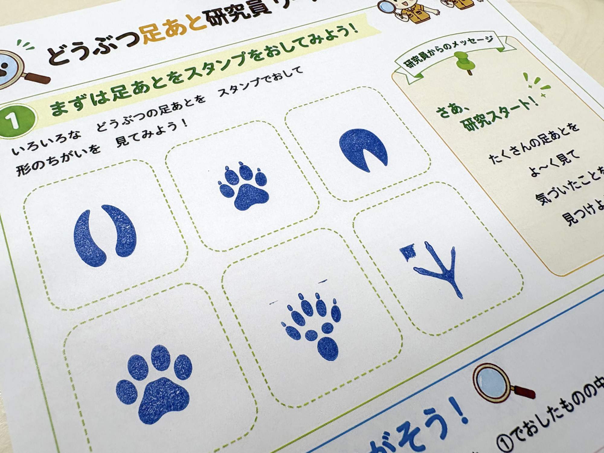 今治でも100名以上の「どうぶつ足あと研究員」が誕生！ 