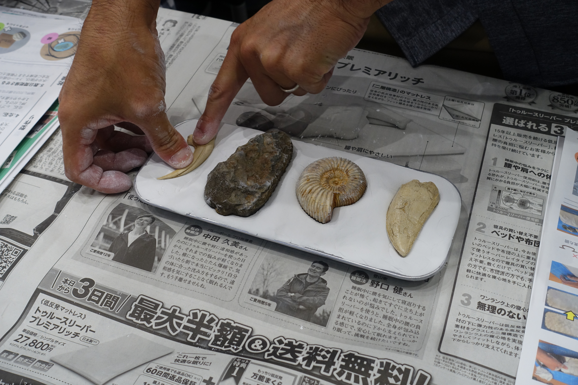 恐竜学博物館ツアーとレプリカ制作体験が人気