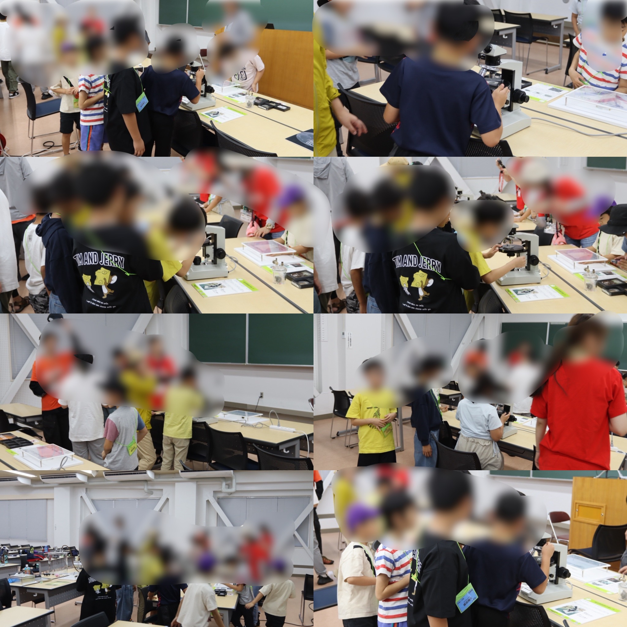 小学生向けの科学イベントを開催しました