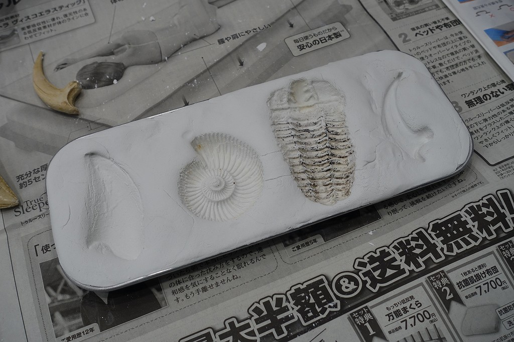 恐竜学博物館ツアーとレプリカ制作体験が人気