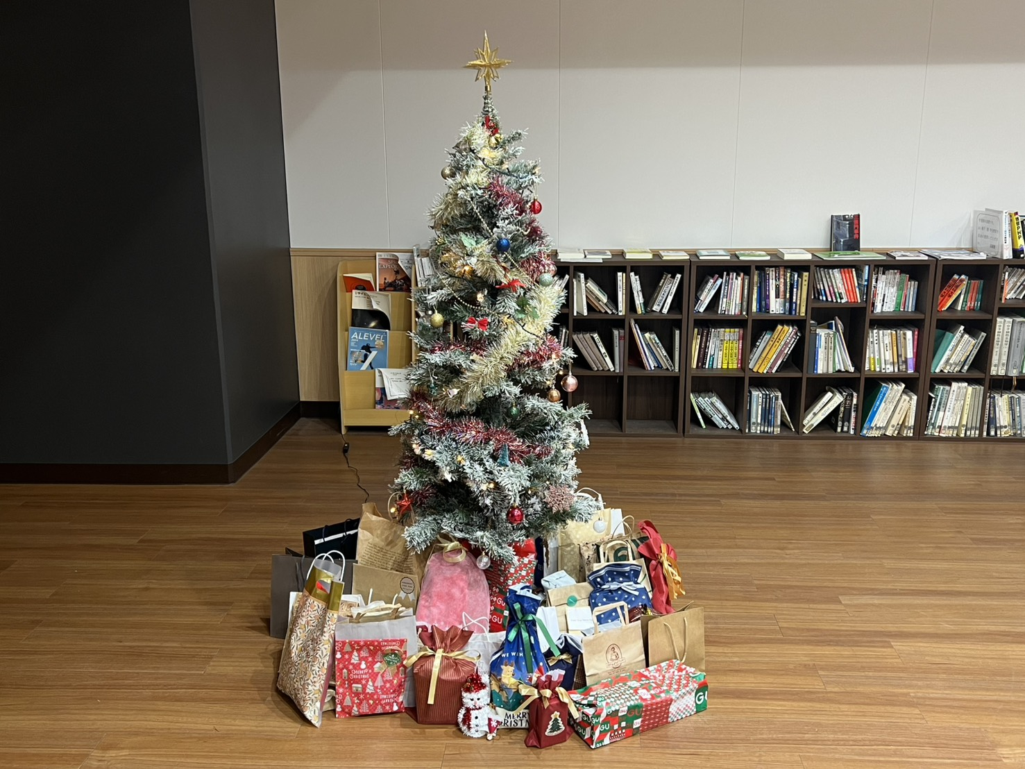 GLOBOLA Holds Christmas Party