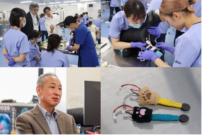 Aiming for a society that is better for both animals and people through veterinary-engineering collaboration: the “Quality of all lives” project