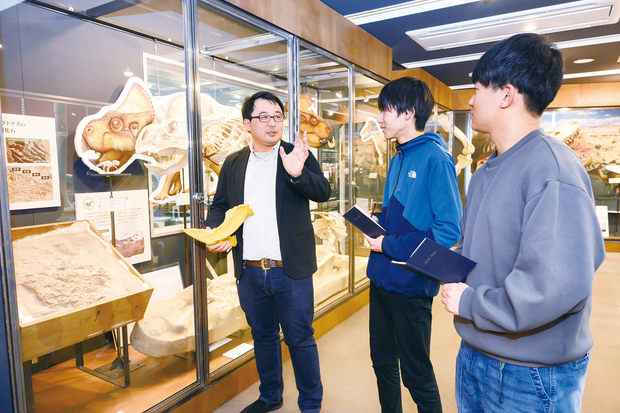 Department of Dinosaur Paleontology